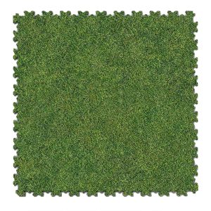 Potisk Grass