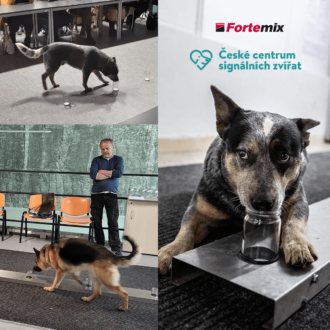 Podpořili jsme centrum signálních zvířat