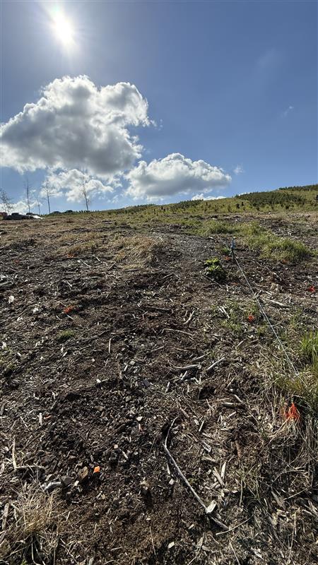 Image - 2026-04-24T121353.019