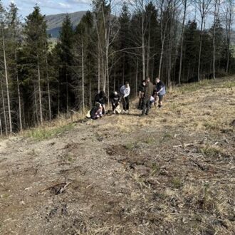 Stromy pro Javorník