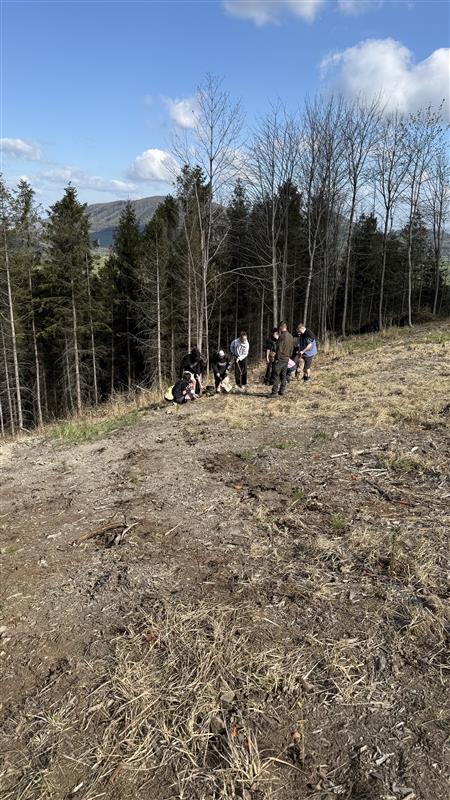 Image - 2026-04-24T121357.194