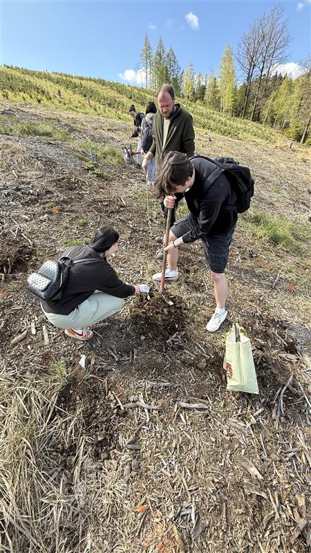 Image - 2026-04-24T121401.043