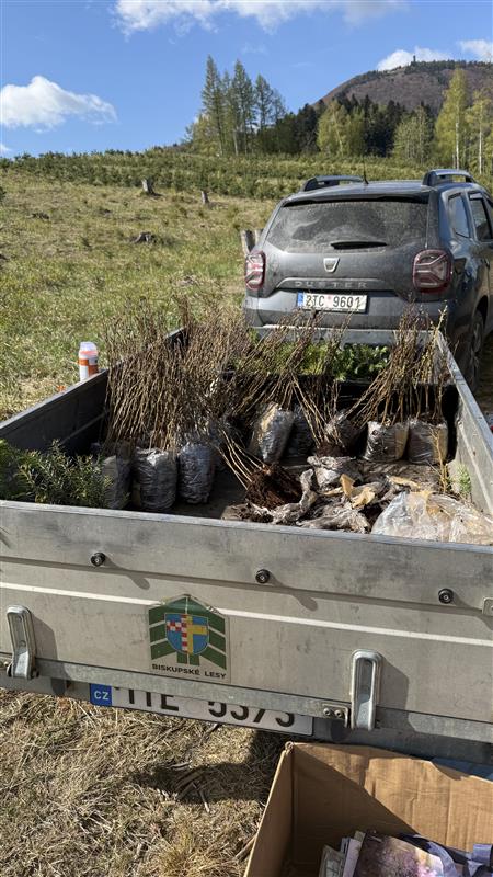 Image - 2026-04-24T121411.053